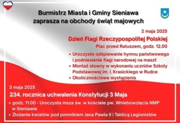 Tekst akapitu (11)